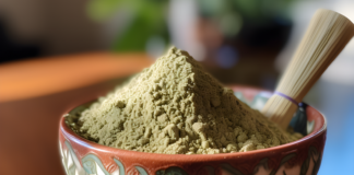 Kolik stojí Kratom v České republice a jak se cenově vyrovnává se zahraničím?
