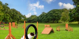 Purina otevírá další psí hřiště, do konce roku budou ve 40 obcích napříč Českem